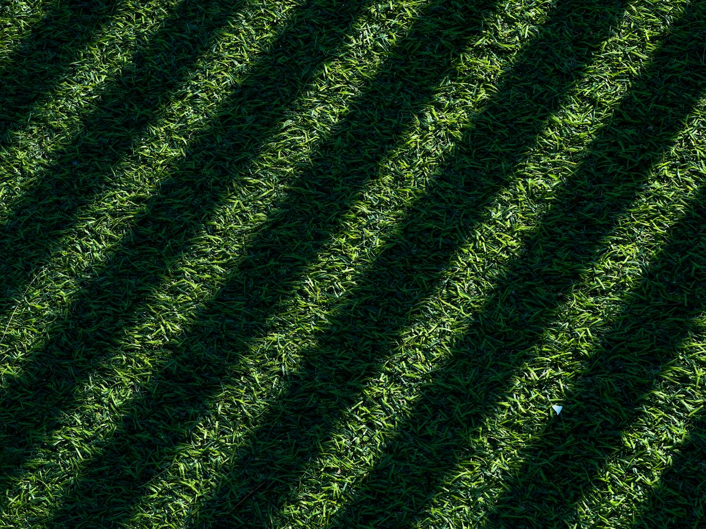 Diagonal mowing stripes across a residential lawn in late-afternoon light.