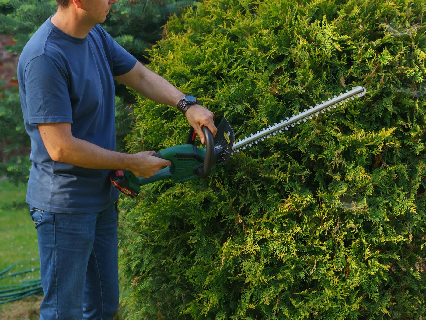 Operator shaping a boxwood hedge with a hedge trimmer.
